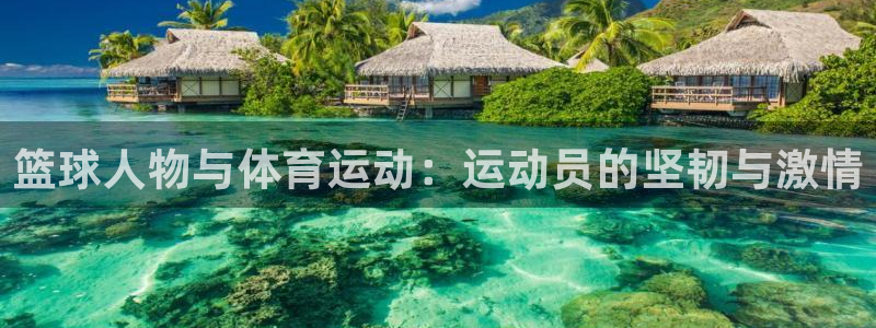 中欧体育下载